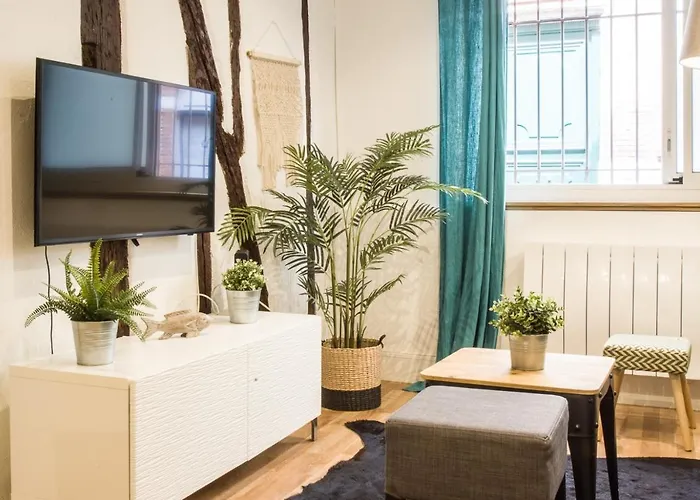 Le Montoulieu - Proche Place Des Carmes Appartement